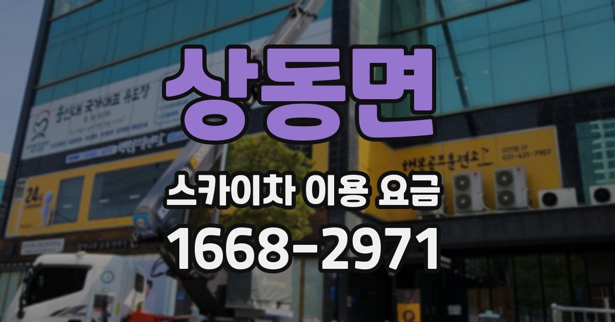 상동면 스카이차 이용 요금