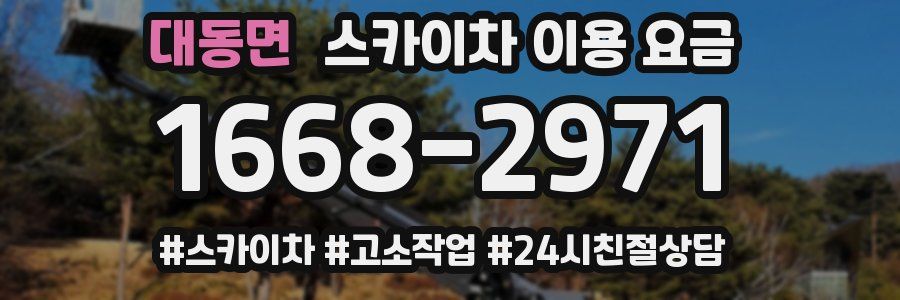 대동면 스카이차 이용 요금