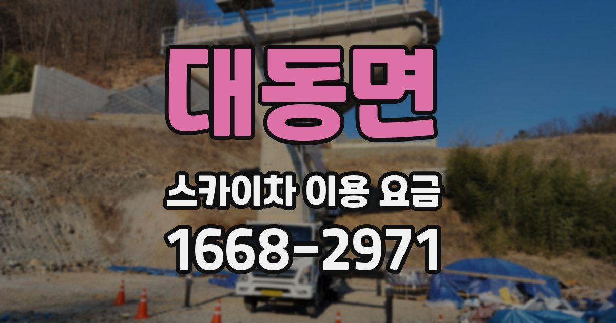 대동면 스카이차 이용 요금