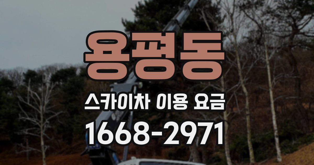 용평동 스카이차 이용 요금
