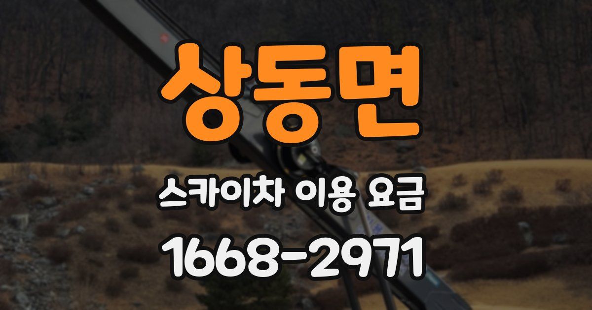 상동면 스카이차 이용 요금