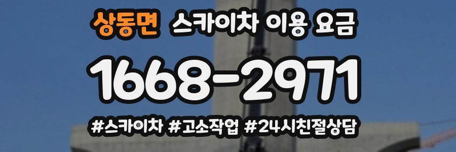 상동면 스카이차 이용 요금