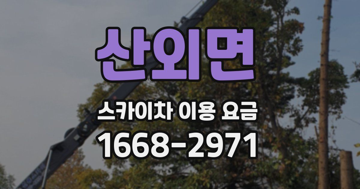 산외면 스카이차 이용 요금