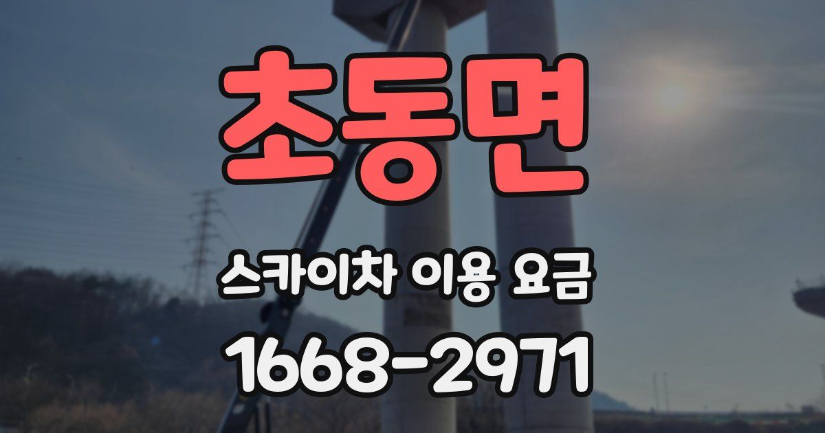 초동면 스카이차 이용 요금