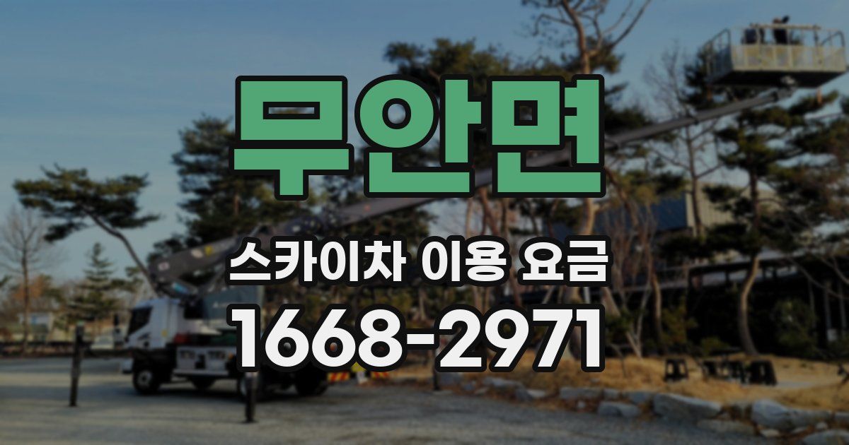 무안면 스카이차 이용 요금