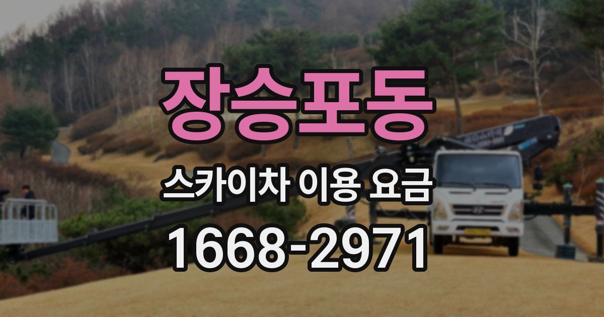 장승포동 스카이차 이용 요금