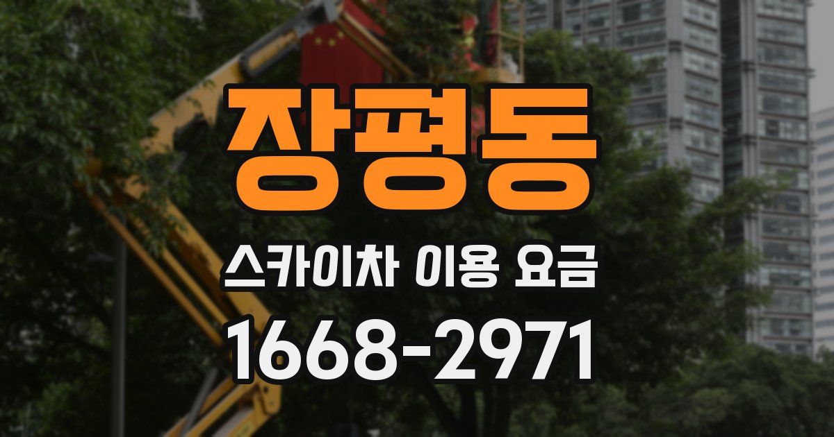 장평동 스카이차 이용 요금