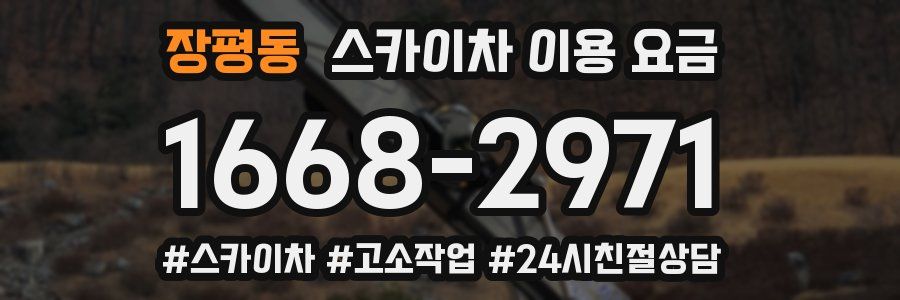 장평동 스카이차 이용 요금