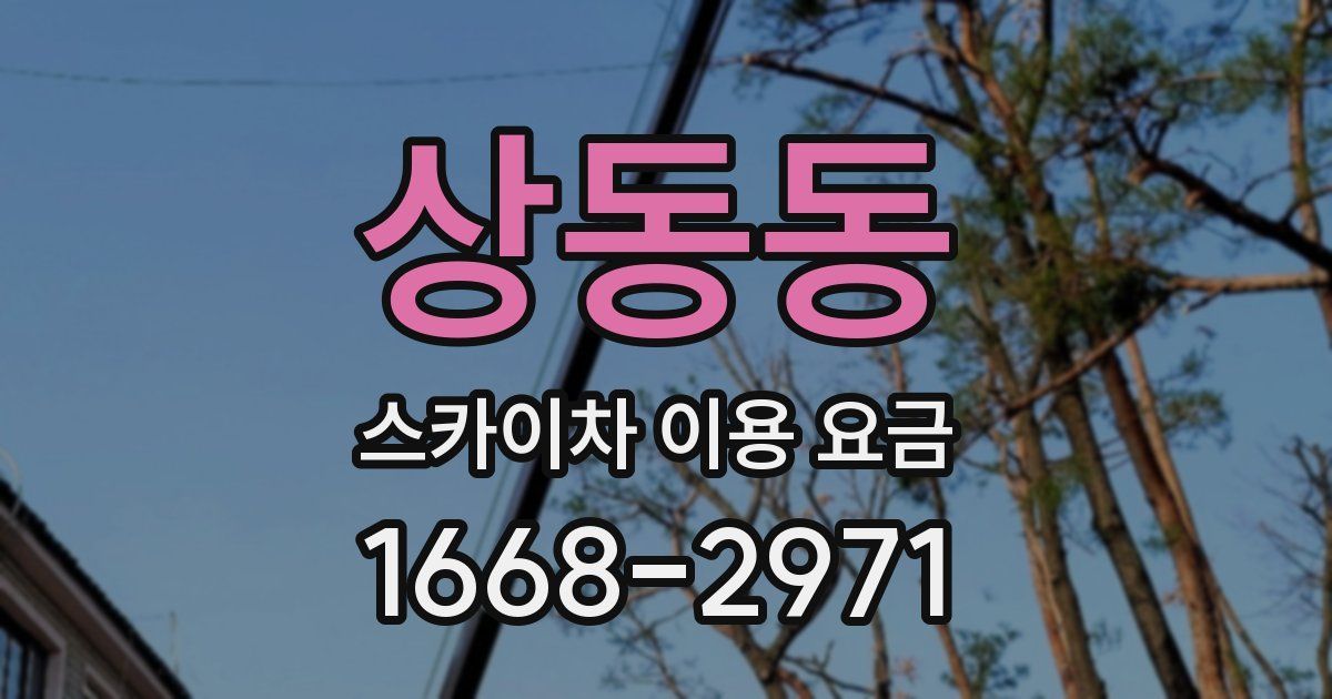 상동동 스카이차 이용 요금