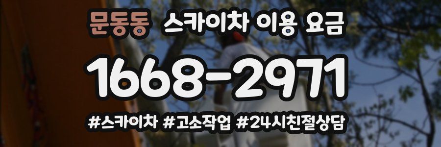 문동동 스카이차 이용 요금