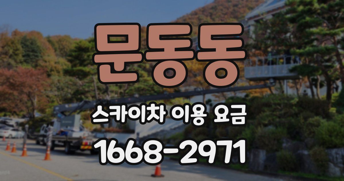 문동동 스카이차 이용 요금