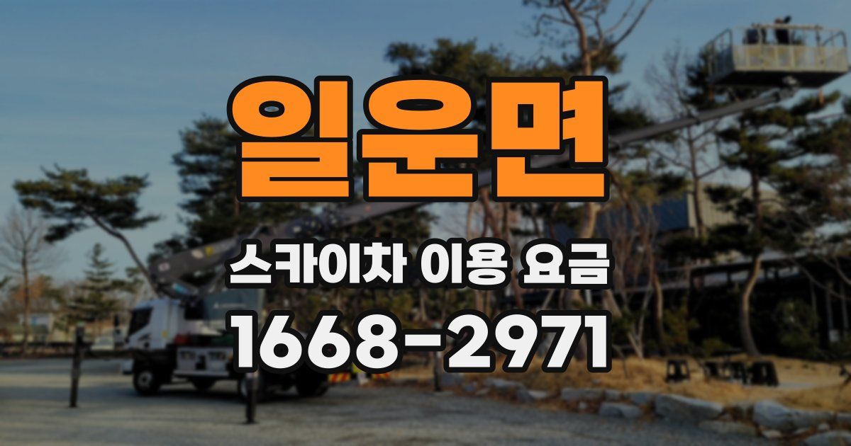 일운면 스카이차 이용 요금