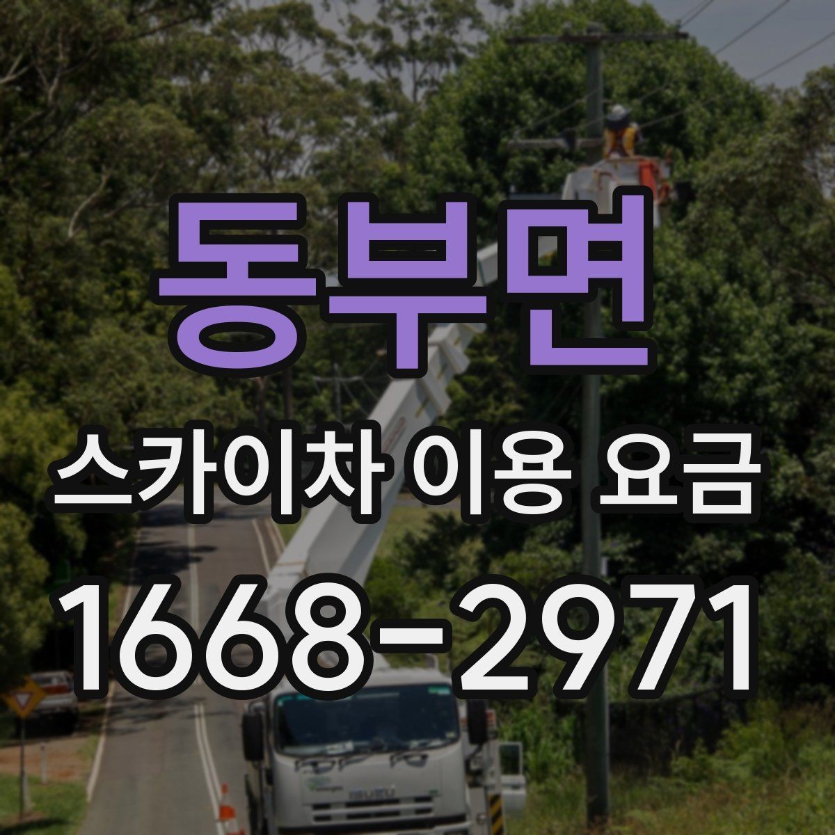 동부면 스카이차 이용 요금 산정 시 놓치기 쉬운 부분