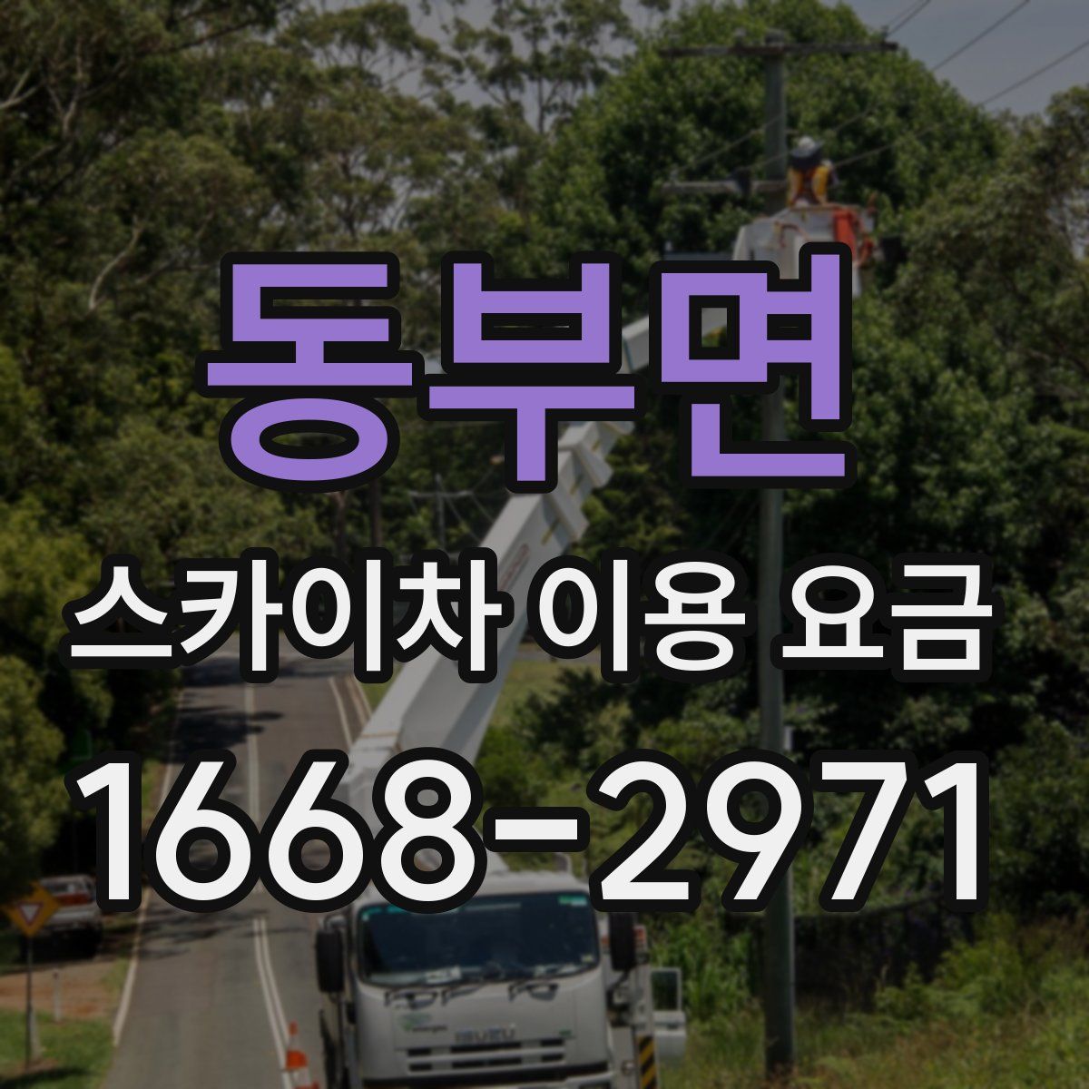 동부면 스카이차 이용 요금