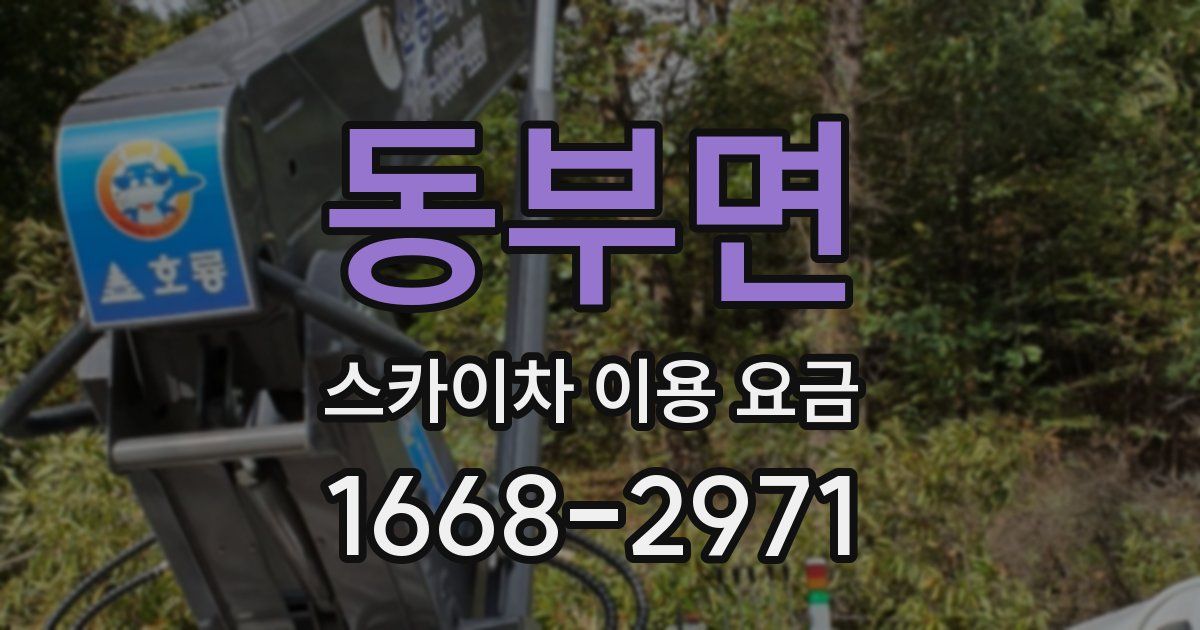 동부면 스카이차 이용 요금