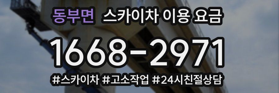 동부면 스카이차 이용 요금