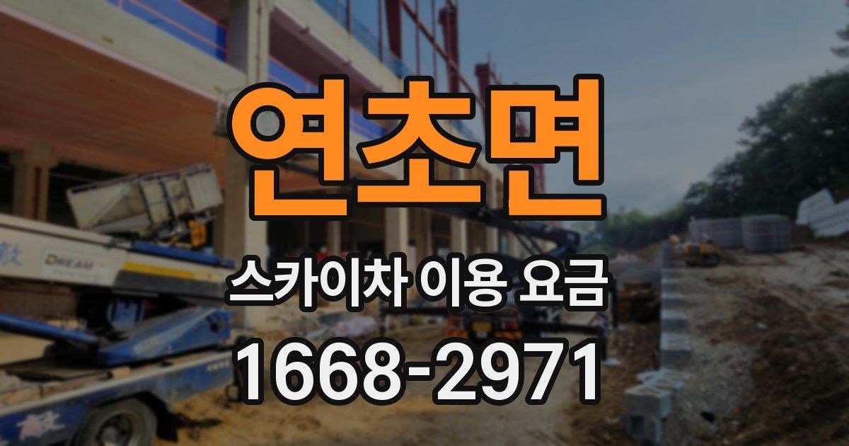 연초면 스카이차 이용 요금