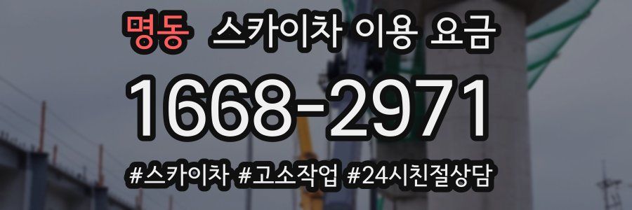 명동 스카이차 이용 요금