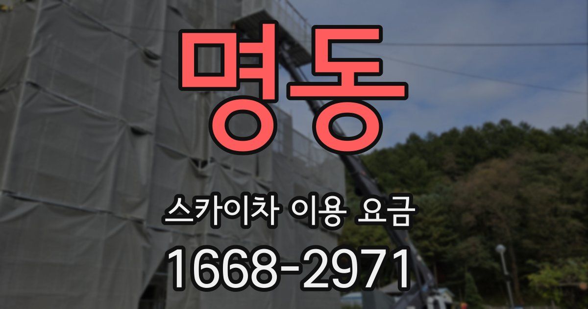 명동 스카이차 이용 요금