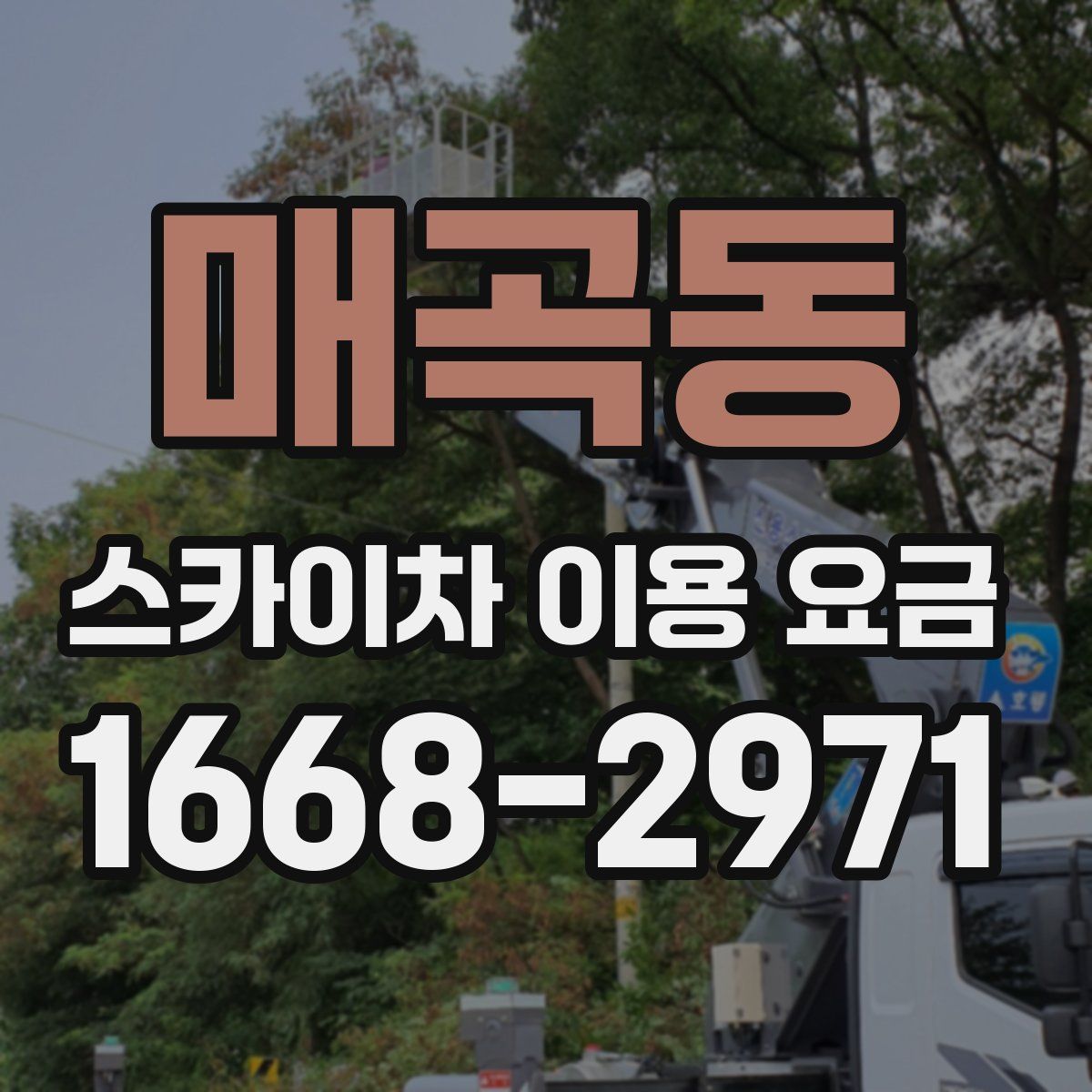 매곡동 스카이차 이용 요금
