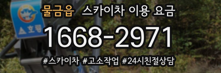 물금읍 스카이차 이용 요금