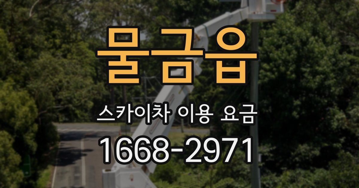 물금읍 스카이차 이용 요금