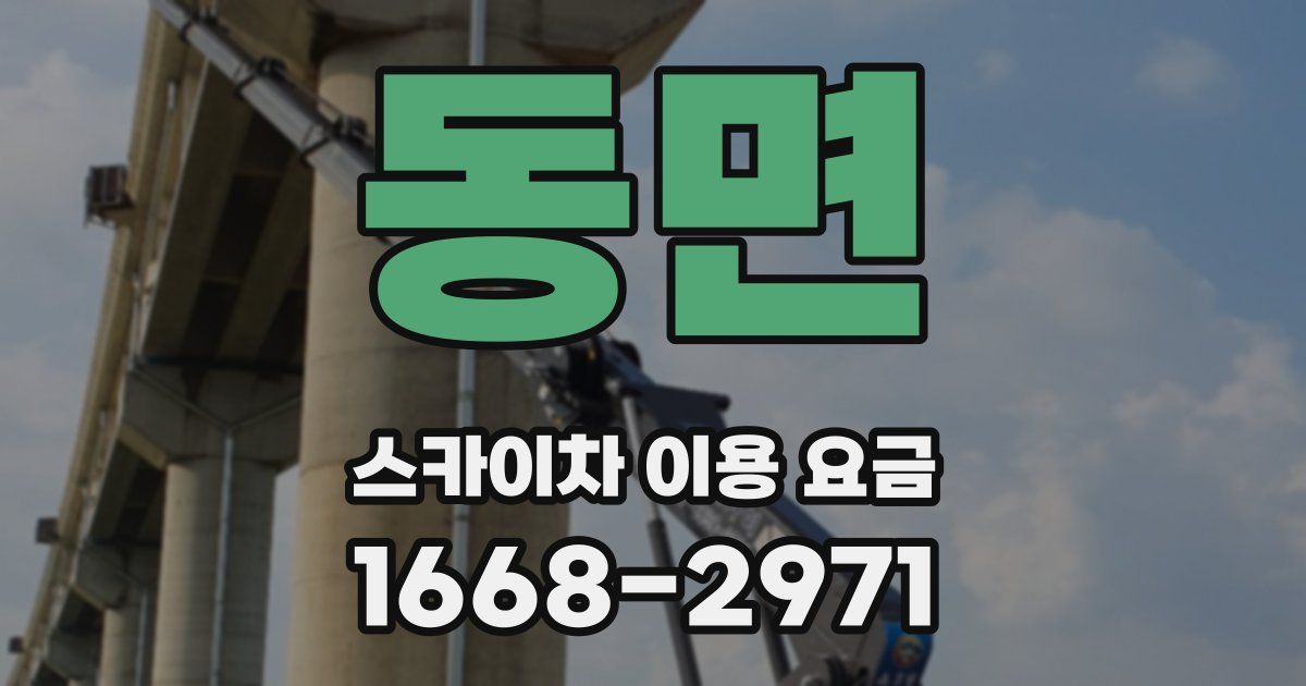 동면 스카이차 이용 요금