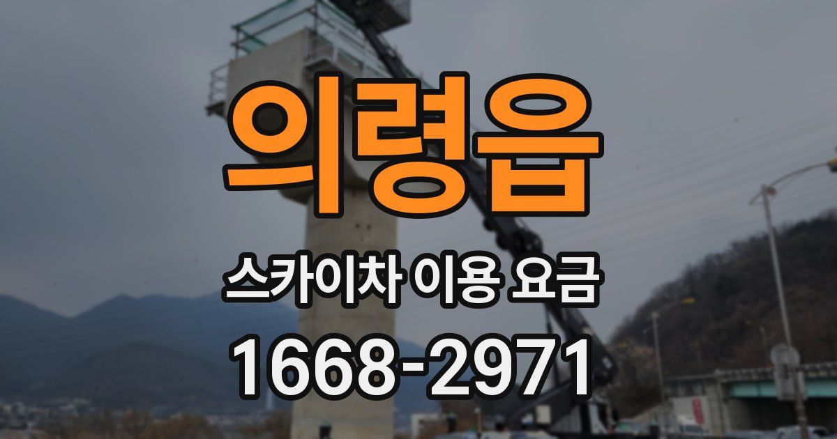 의령읍 스카이차 이용 요금
