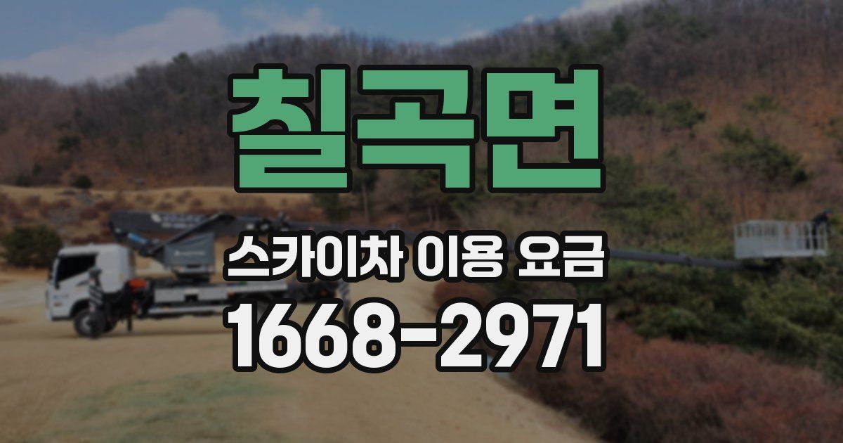 칠곡면 스카이차 이용 요금