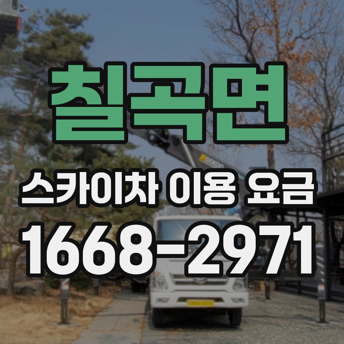 칠곡면 스카이차 이용 요금