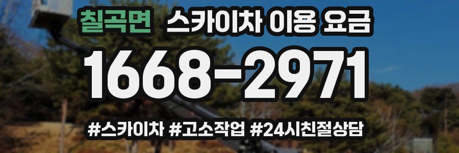 칠곡면 스카이차 이용 요금