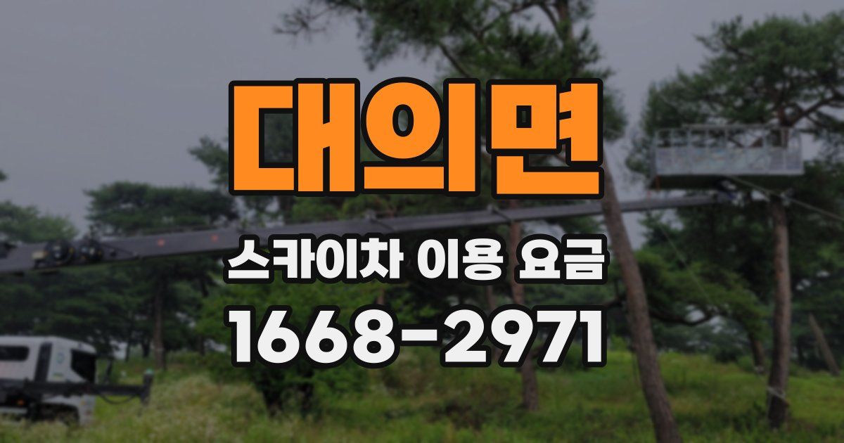 대의면 스카이차 이용 요금