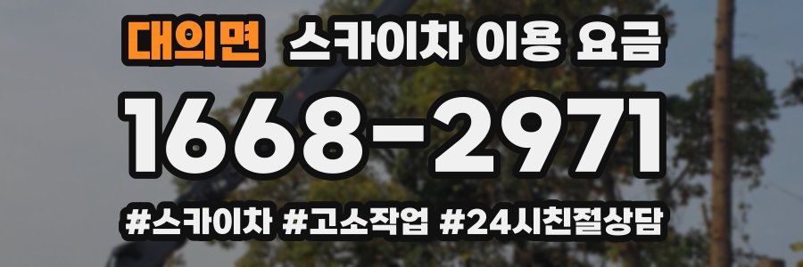 대의면 스카이차 이용 요금