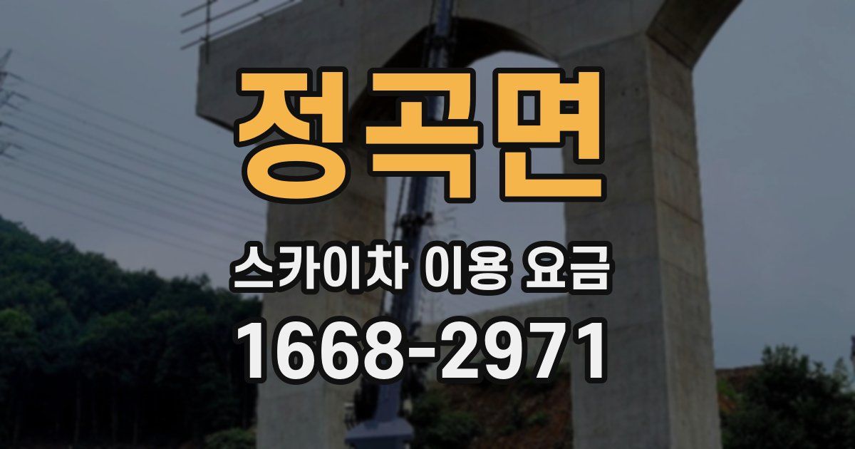 정곡면 스카이차 이용 요금