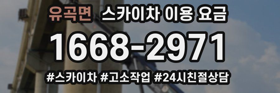 유곡면 스카이차 이용 요금