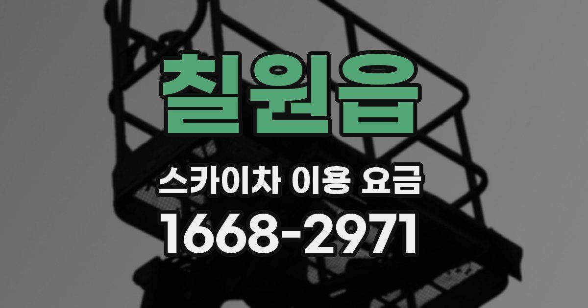 칠원읍 스카이차 이용 요금
