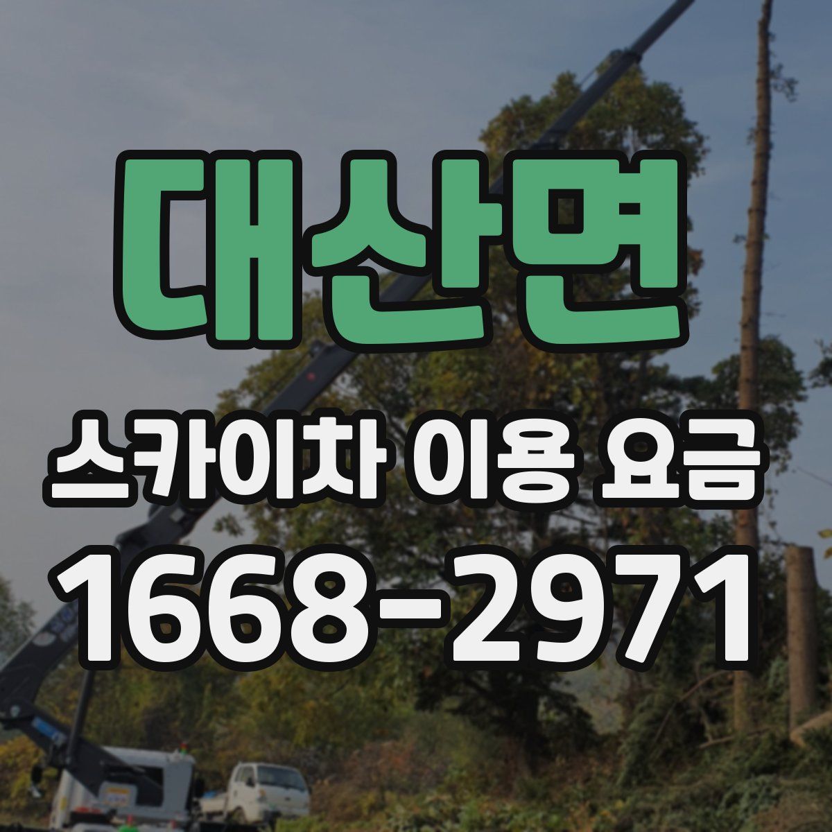 대산면 스카이차 이용 요금