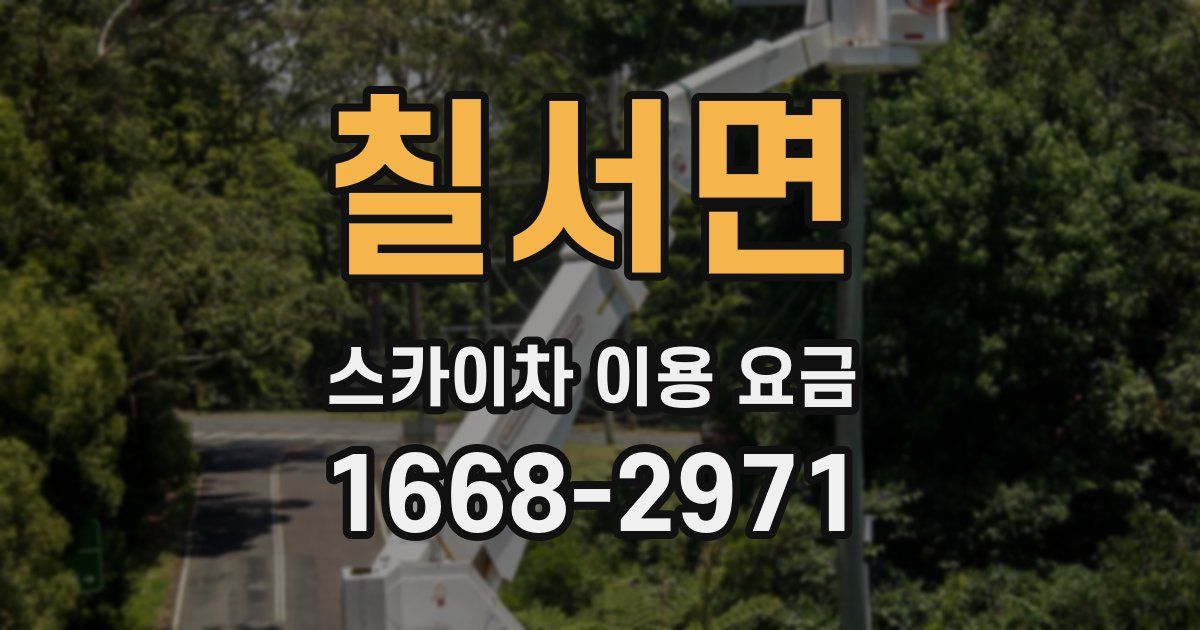 칠서면 스카이차 이용 요금