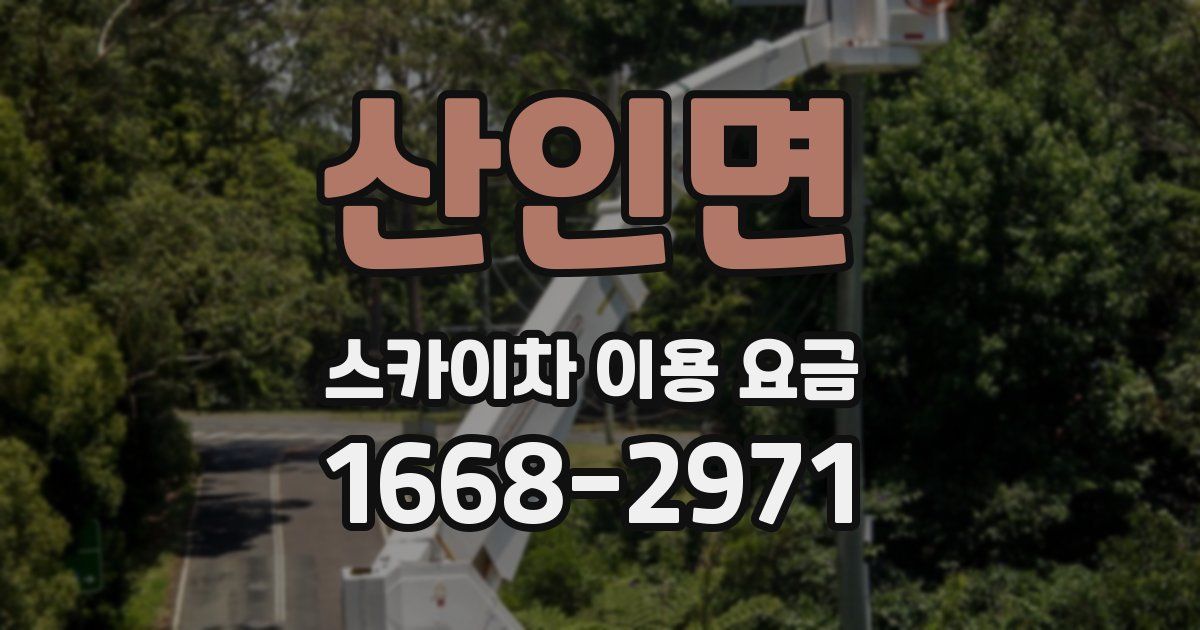 산인면 스카이차 이용 요금