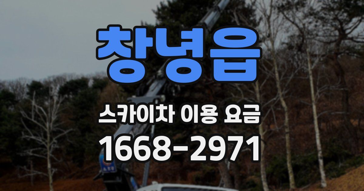 창녕읍 스카이차 이용 요금