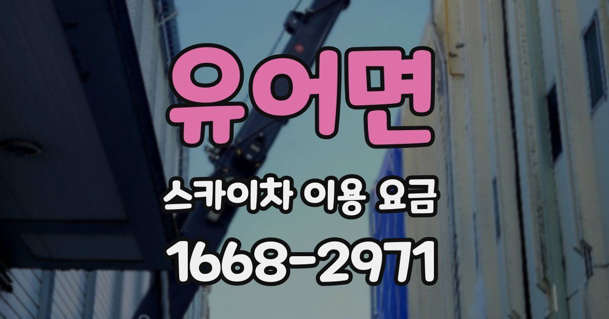 유어면 스카이차 이용 요금