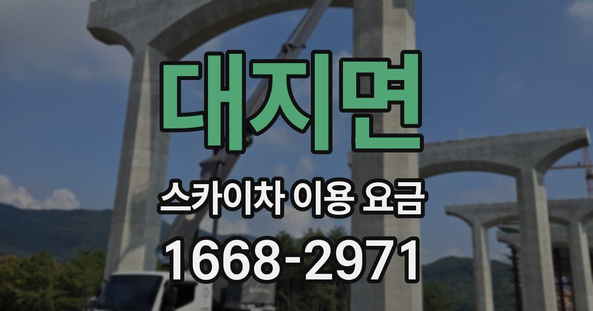 대지면 스카이차 이용 요금
