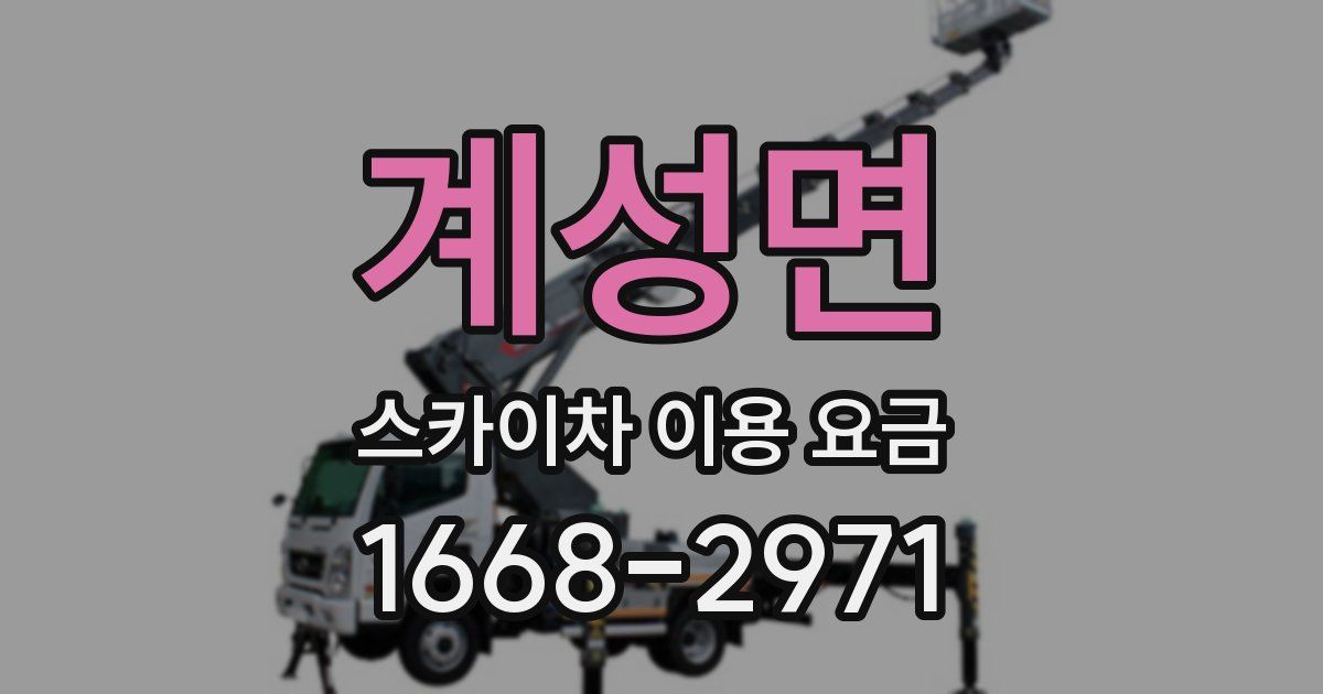 계성면 스카이차 이용 요금