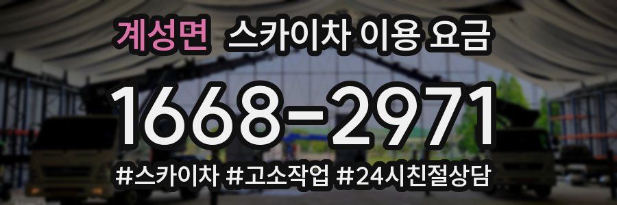 계성면 스카이차 이용 요금