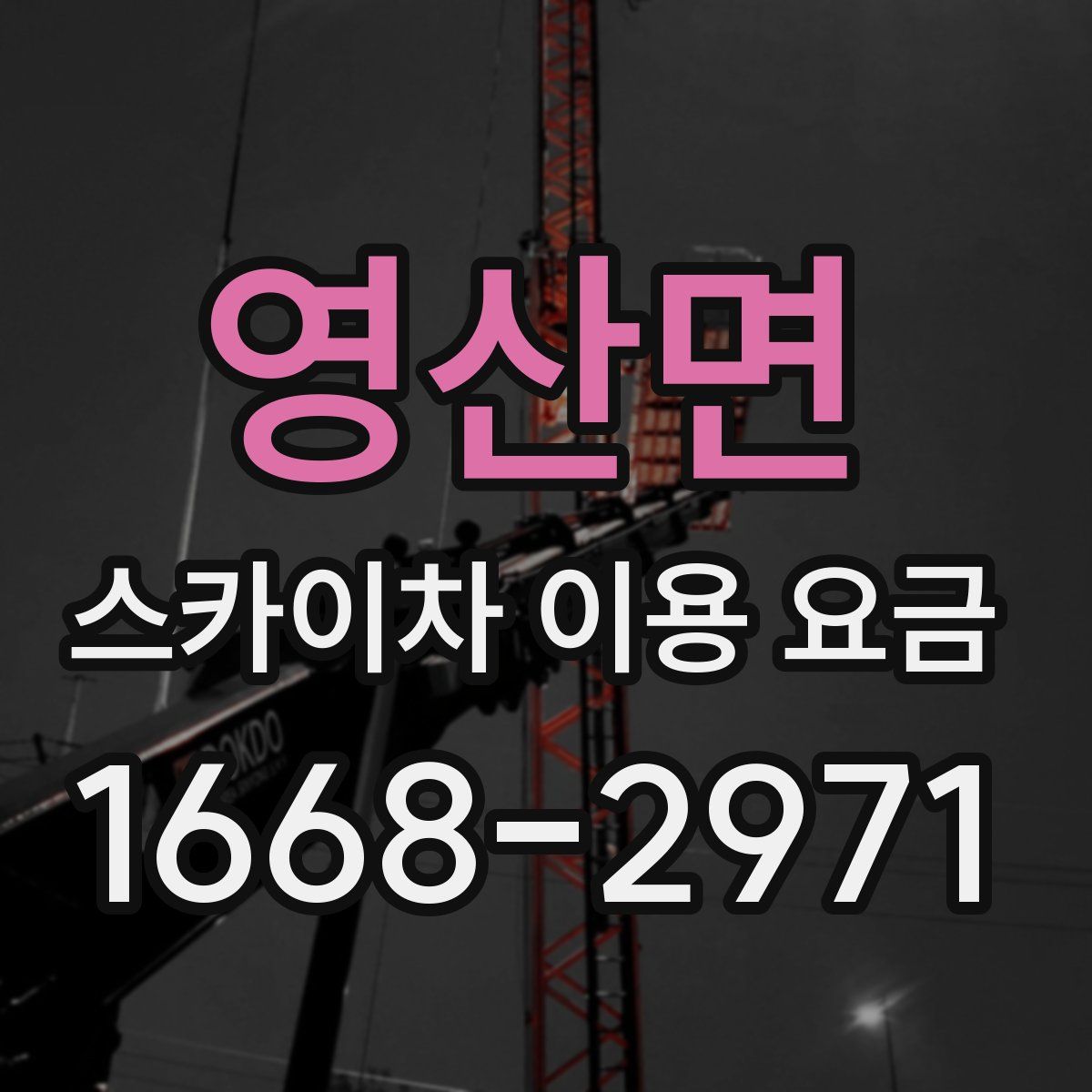영산면 스카이차 이용 요금
