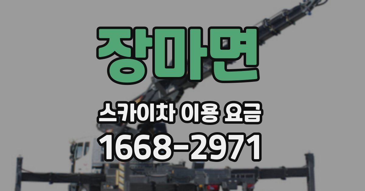 장마면 스카이차 이용 요금