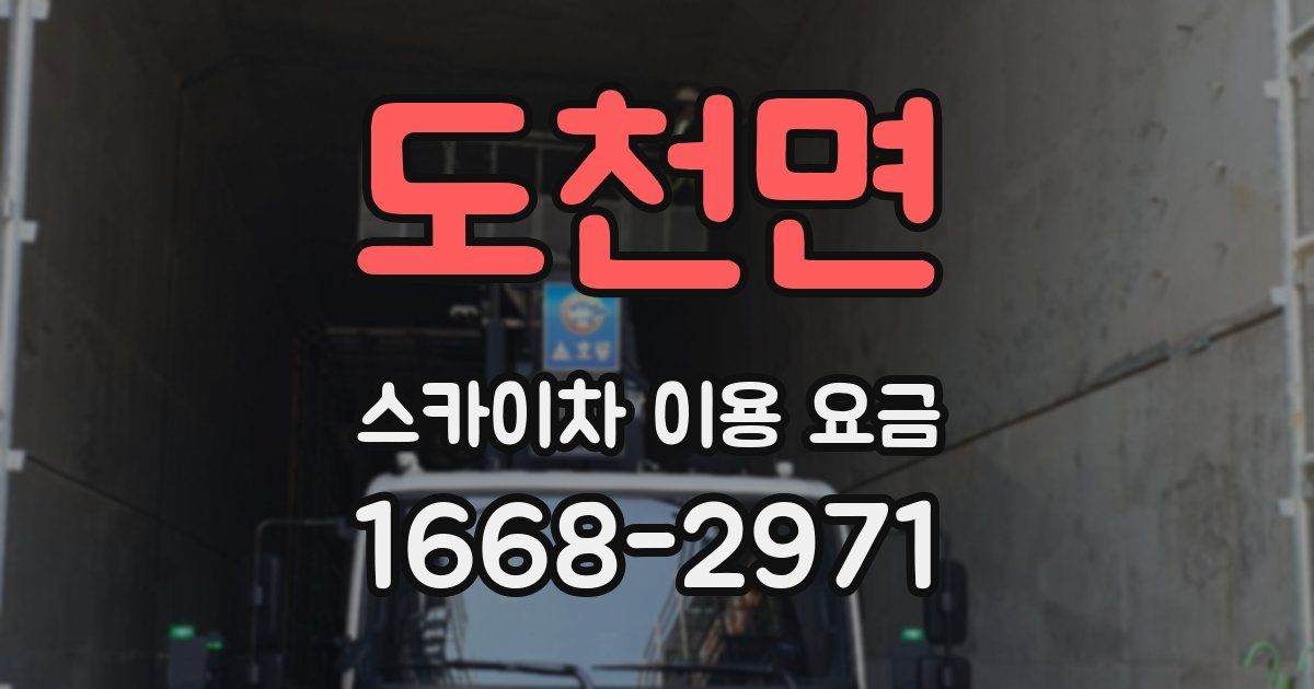 도천면 스카이차 이용 요금