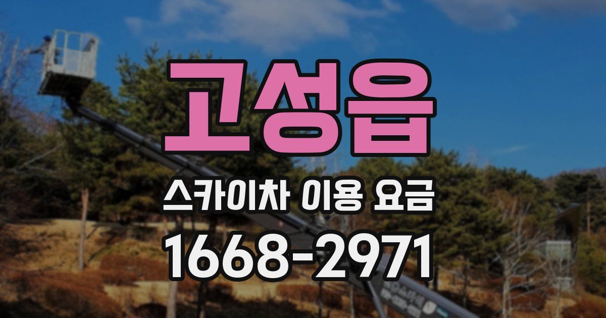 고성읍 스카이차 이용 요금