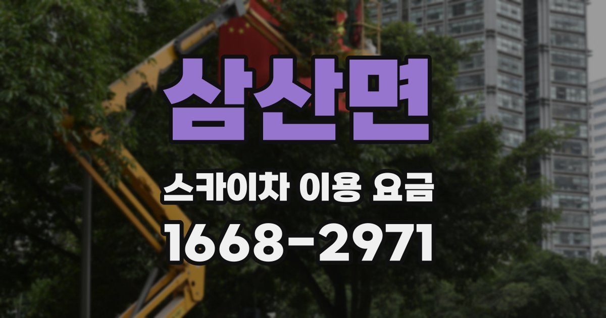삼산면 스카이차 이용 요금