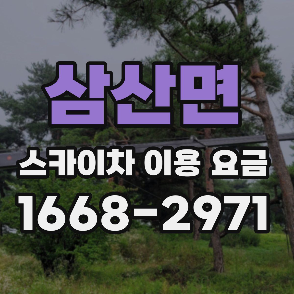 삼산면 스카이차 이용 요금